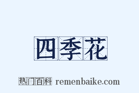 四季花是什么意思的图片